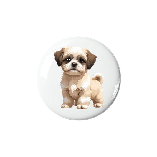 Shih Tzu
