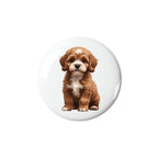 Cavapoo Puppy