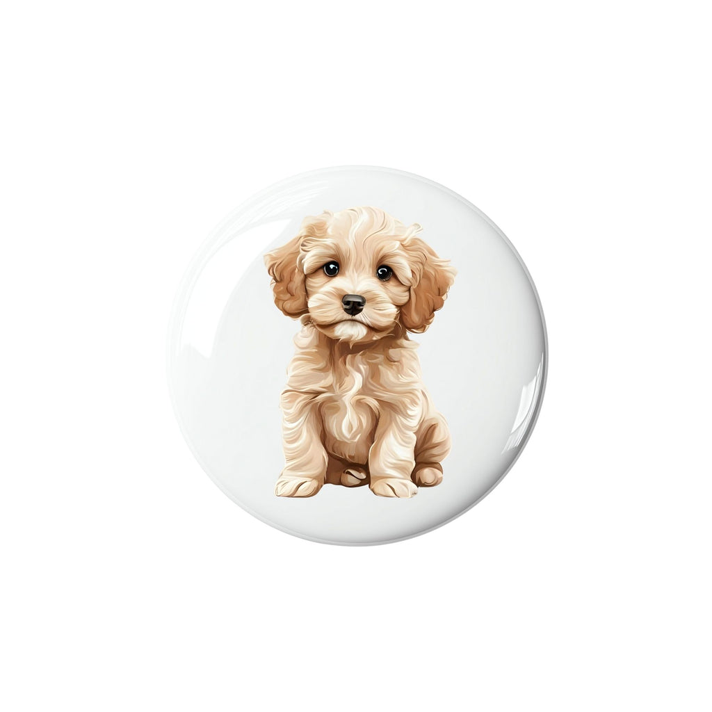 Cavapoo Puppy