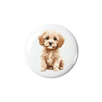 Cavapoo Puppy